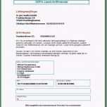 Selten Sepa überweisung Vorlage Word Gallery 6 Blutdruck