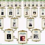 Selten Stammbaum 5 0 Amazon software