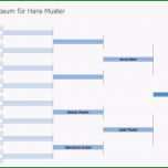 Selten Stammbaum Vorlage Gratis Excel &amp; Word Vorlage