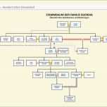 Selten Stammbaum Zeichnen Vorlage