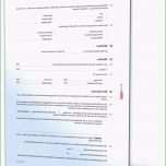 Selten Stromanbieter Kndigen sonderkndigungsrecht Vorlage Genial