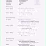 Selten Unglaubliche Lebenslauf Koch