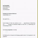 Selten Vorlage Betriebsbedingte Kundigung Arbeitgeber Papacfo