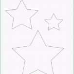 Selten Vorlage Schaf