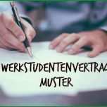Selten Werkstudentenvertrag Muster Download