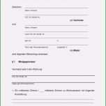 Selten Wohnung K Ndigung Vorlage Design