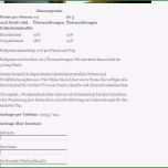 Selten Zimmer Reservieren Vorlage Schön Portfolio – Digitaler