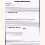 Sensationell 13 Protokoll Vorlage