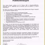 Sensationell 14 Praktikumsbescheinigung Vorlage Word