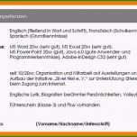 Sensationell 15 Ehrenamtliche Tätigkeit Lebenslauf