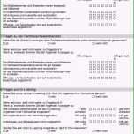 Sensationell 15 Fragebogen Erstellen Vorlage