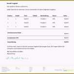 Sensationell 16 Vorlage Angebotsanfrage