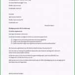 Sensationell 17 Schadensmeldung Versicherung Vorlage