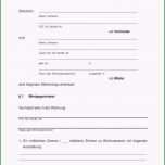 Sensationell 18 Kündigung Schreiben In Der Probezeit