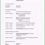 Sensationell 20 Kündigung Versicherung Vorlage Word