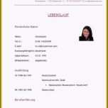 Sensationell 20 Schülerpraktikum Lebenslauf Vorlage