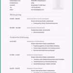 Sensationell 20 Unfallbericht Vorlage