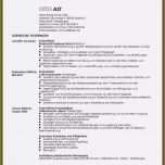 Sensationell 20 Zeitungsartikel Schreiben Vorlage