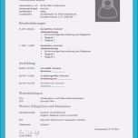 Sensationell 21 Lebenslauf Muster Kostenlos