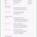 Sensationell 31 Best Images About Lebenslauf Vorlagen &amp; Muster On