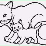 Sensationell 60 Gut Katzen Vermisstenanzeige Vorlage Bilder