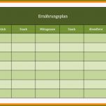 Sensationell 7 Ernährungsplan Vorlage