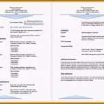 Sensationell 8 Englisch Cv Muster