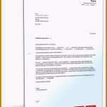 Sensationell 8 Stellungnahme Schreiben Muster