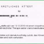 Sensationell Ärztliche Stellungnahme Berufsunfähigkeitsversicherung