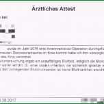 Sensationell Ärztliche Stellungnahme Berufsunfähigkeitsversicherung