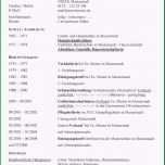 Sensationell Ausführlicher Lebenslauf Vorlage Ausformulierter