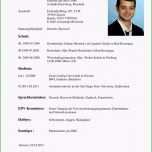 Sensationell Besondere Beispiel Lebenslauf Bewerbung Lebenslauf Muster