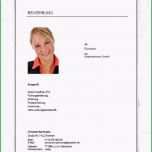 Sensationell Bewerbung Deckblatt Vorlage Pdf Großartig Bewerbung Muster