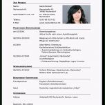 Sensationell Bewerbung Lücken Im Lebenslauf Sinnvoll Füllen