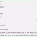 Sensationell Bewerbungsschreiben Vorlage Verkäuferin Ohne Erfahrung Süß