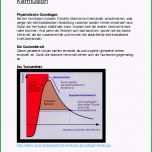 Sensationell Biografiebogen Altenpflege Vorlage Genial Biografiebogen