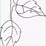 Sensationell Blatt Skizziert Ausmalbild &amp; Malvorlage Blumen