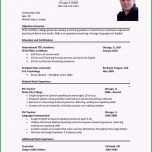 Sensationell Die Besten 25 Curriculum Vitae In English Ideen Auf