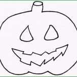 Sensationell Die Besten 25 Fledermaus Vorlage Ideen Auf Pinterest