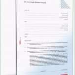 Sensationell Einfache Anwaltsvollmacht