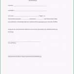 Sensationell Erweitertes Führungszeugnis In Der Offenen Kinder Und