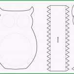 Sensationell Eulen Basteln Vorlage