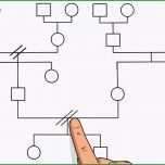 Sensationell Genogramm Erstellen Word Sicherheitsdatenblatt Vorlage