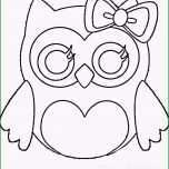 Sensationell Glubschi Eule Ausmalbilder Malvorlagen