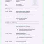 Sensationell Handgeschriebener Lebenslauf Für Einbürgerung Die