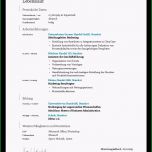 Sensationell Ihr Lebenslauf Im Ansprechenden Premium Design Verleihen