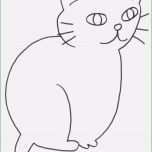 Sensationell Katzen Vermisstenanzeige Vorlage Erstaunlich Ausmalbilder