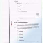 Sensationell Kaufvertrag Pferd