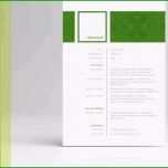 Sensationell Komplett Word Vorlage Lebenslauf Führungskraft