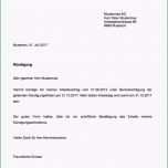 Sensationell Komplex Muster Kündigung Handy Kündigung Schreiben